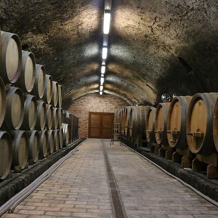 Villa Tolnay Vendégház Gyulakeszi Ngoại thất bức ảnh